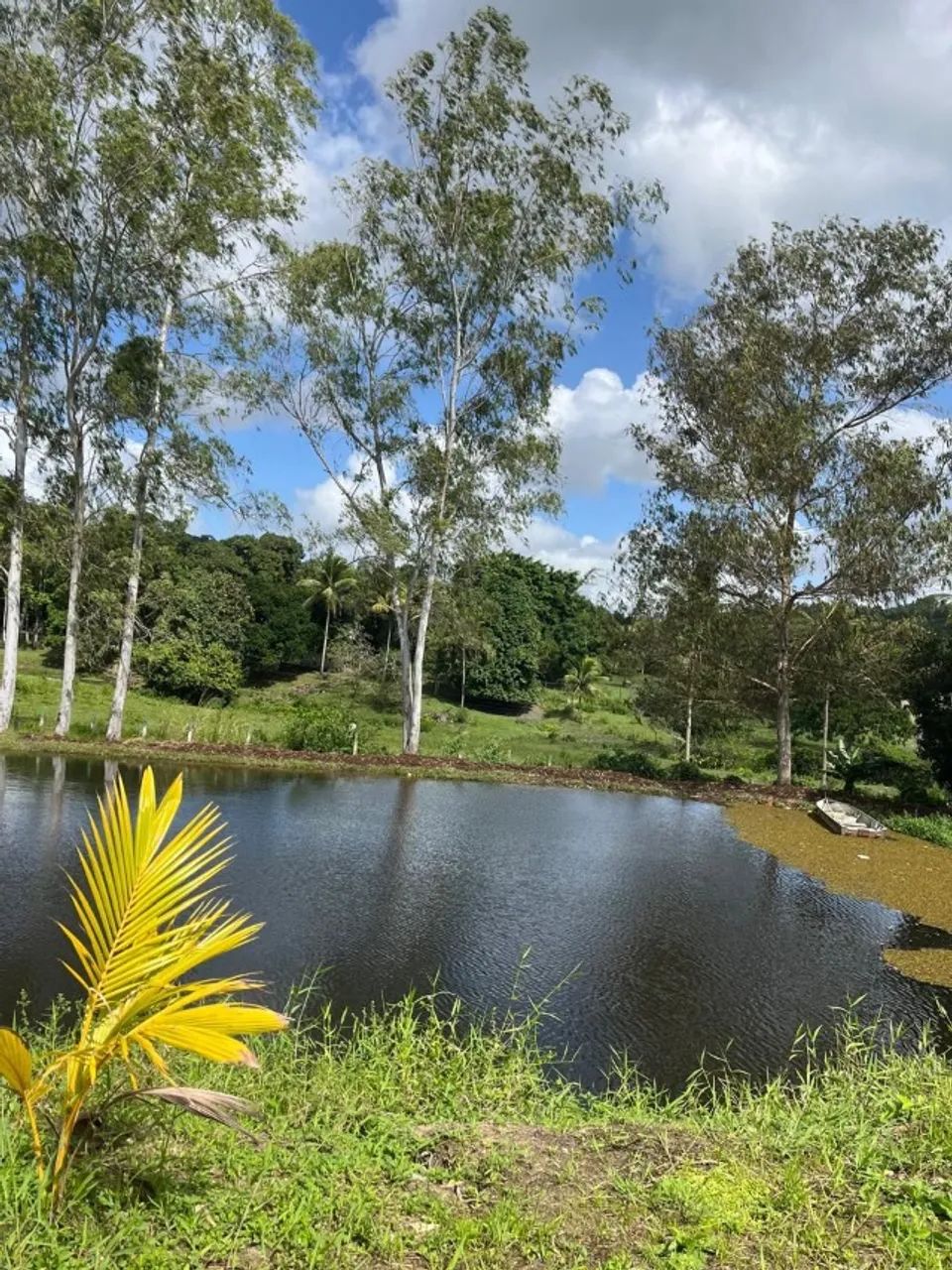 Apartamento Modelo Studio em Moreno - PE - Foto 5