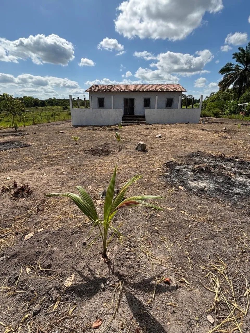 Sítio com casa grande em Santo Amaro - Foto 3