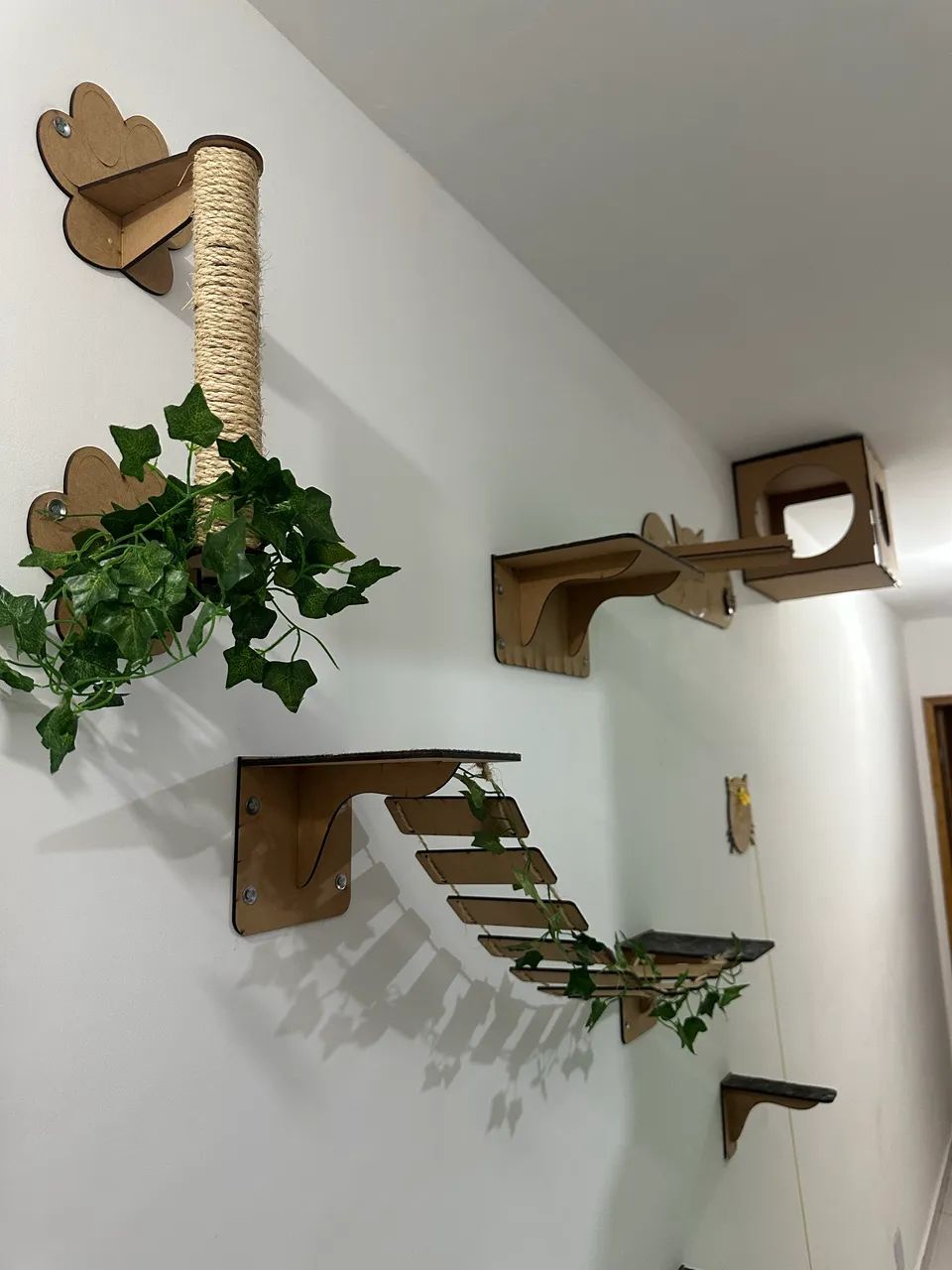 Cat Playground430187369140080642