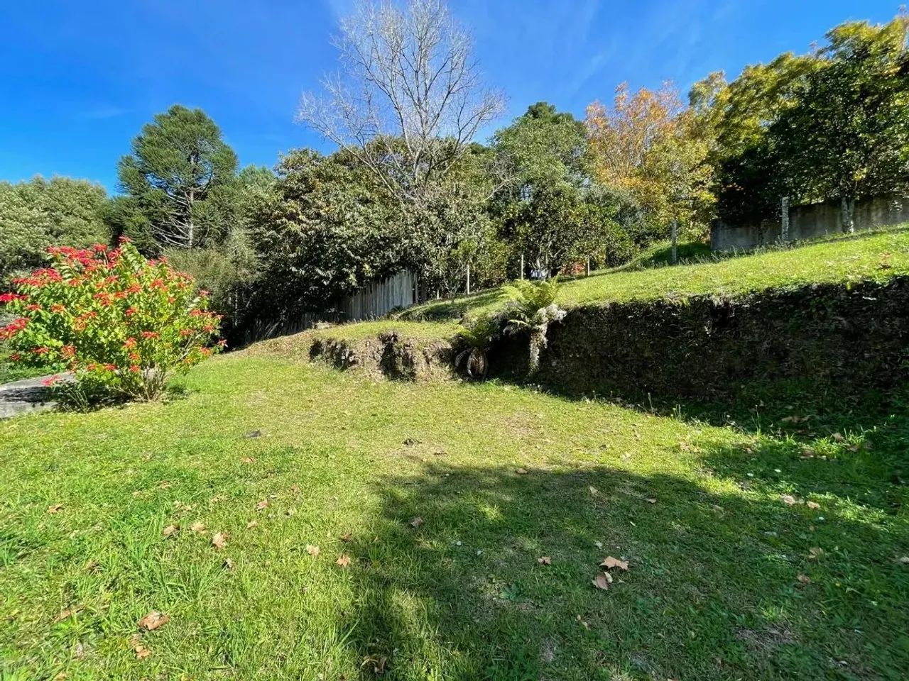 CAXIAS DO SUL - Terreno Padrão - LINHA 40
