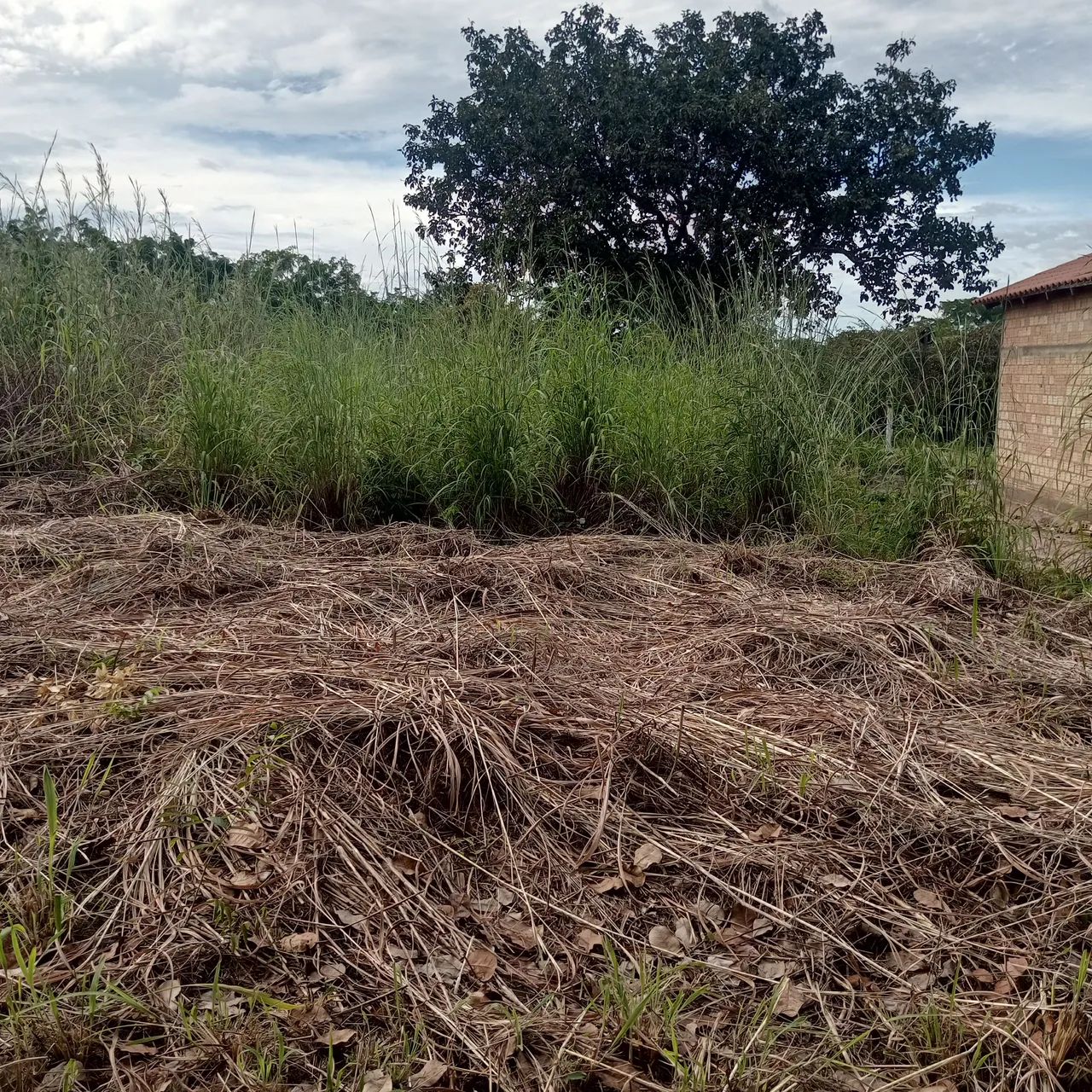 Lote  - Foto 2