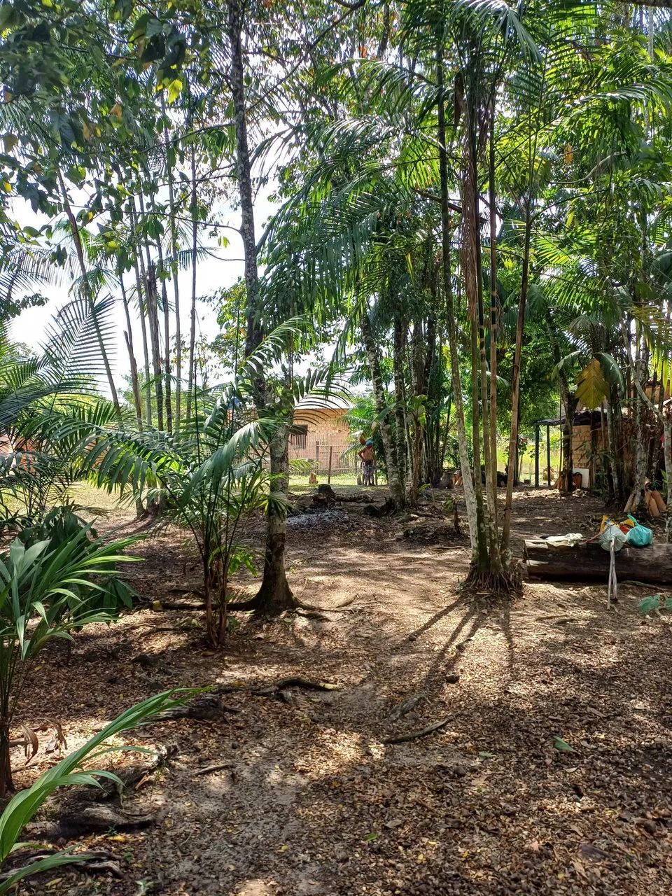 VENDO TERRENO NA ESTRADA DO MARATÁ  ( BENEVIDES)  - Foto 4