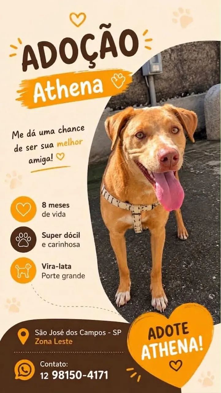 CACHORRA - ADOÇÃO RESPONSÁVEL 