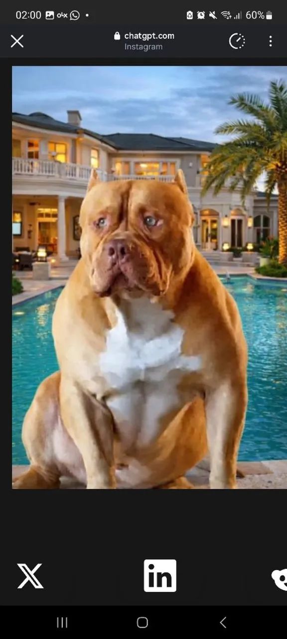 Pitmonsters  - Foto 2