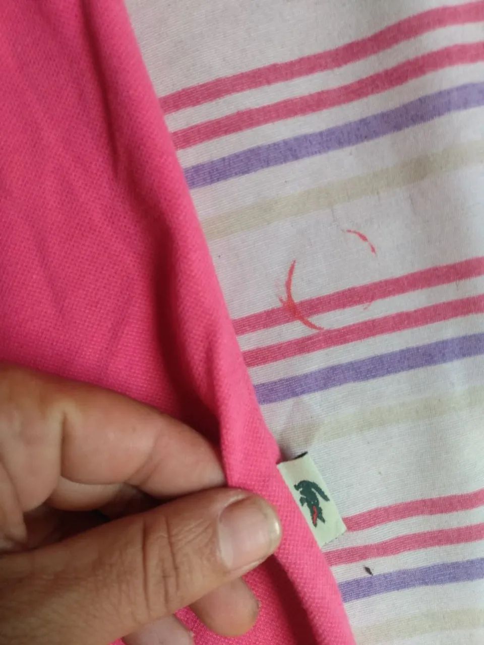 Camisa lascoste tamanho g - Foto 4