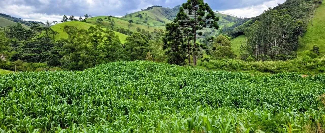 promoção terra fértil - Foto 4