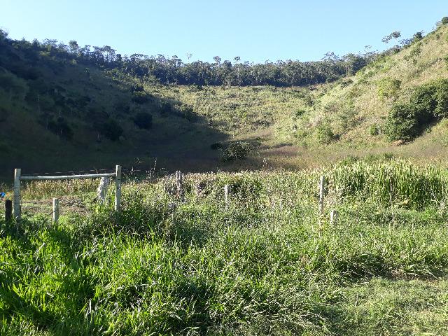 Fazenda com 174 hectares barra de são francisco - Foto 9