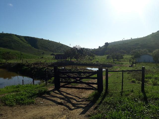 Fazenda com 174 hectares barra de são francisco - Foto 5