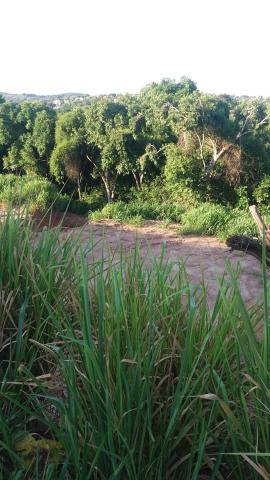 Excelente Terreno na principal avenida de Búzios - Oportunidade única ! - Foto 5