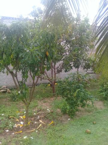 Vc sitio areia branca /mosqwueiro 250 mil - Foto 4