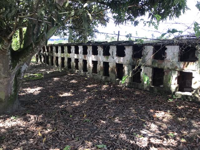 Granja, sítio, fazenda em Igarassu, 4 hectares com bastante benfeitorias! - Foto 12
