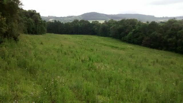 Ref. 1944-2 Chácara com 96.000 m², Localizada na Colônia Municipal ? Lapa - Foto 2