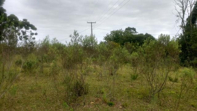 Ref. 1116 - Imperdível chácara de 22.385 m² no Poço Grande - Foto 12