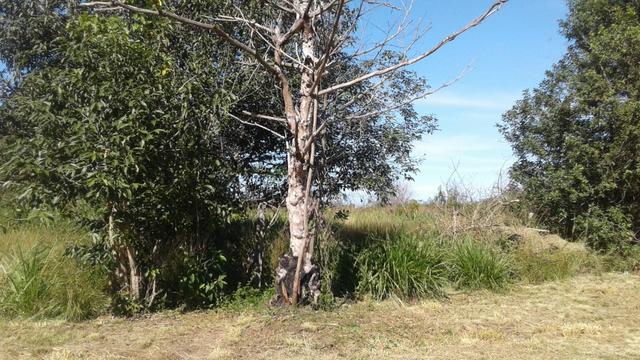 Terreno de 414m² - Bananal - Ponta Negra - Maricá -