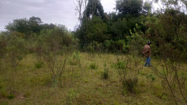 Ref. 1116 - Imperdível chácara de 22.385 m² no Poço Grande - Foto 7