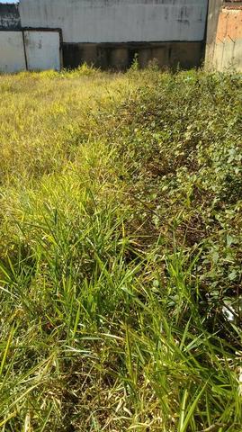 Terreno J.Noêmia - 12 x 25 (300 M2) - Oportunidade de 199 p/ 180 Mil/Plano/Murado - Foto 4