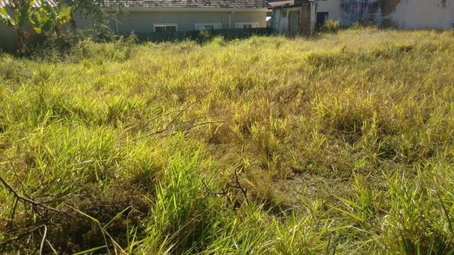 Terreno J.Noêmia - 12 x 25 (300 M2) - Oportunidade de 199 p/ 180 Mil/Plano/Murado - Foto 6