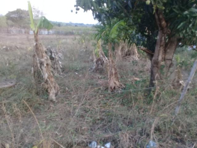 Terreno - Foto 2