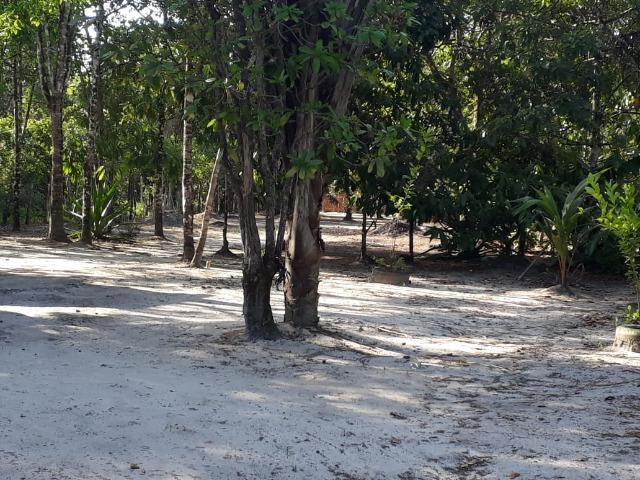 Terreno com Igarapé - Ramal do 30 Curuçá - Foto 5