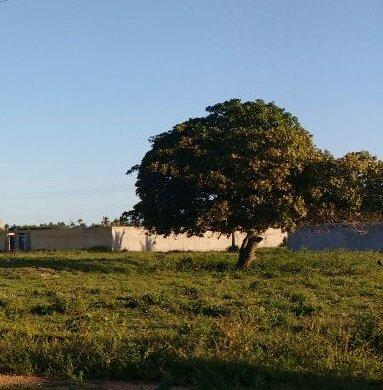 Terreno no Mosqueiro