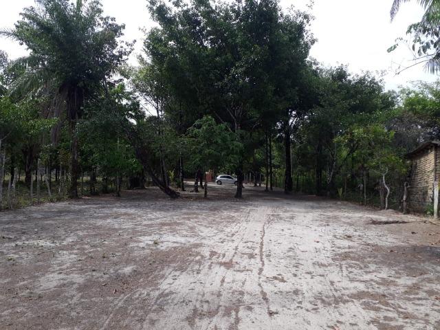 Terreno com Igarapé - Ramal do 30 Curuçá - Foto 2
