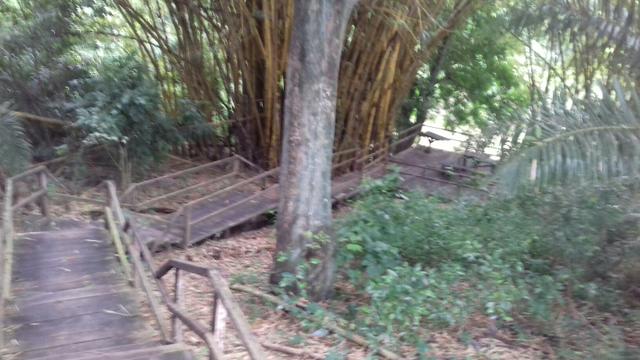 Vendo ágio de um lote com acesso ao rio - Foto 6