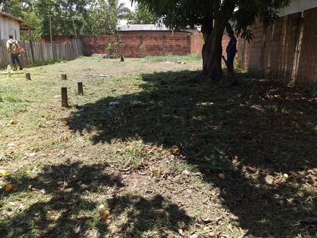 Terreno - Foto 4