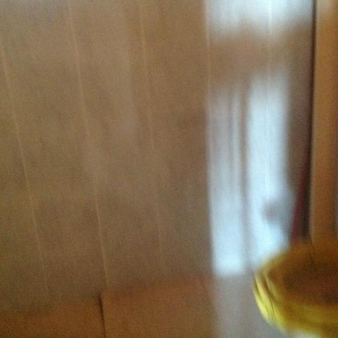 Vendo casa com 12000m2 terreno - Foto 10
