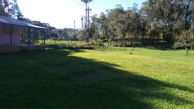 Chácara Bocaiuva do Sul - Foto 8