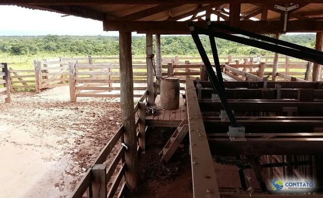 Fazenda 1500 hectares, com dupla aptidão, na Região Serra azul, Mato Grosso - Foto 18