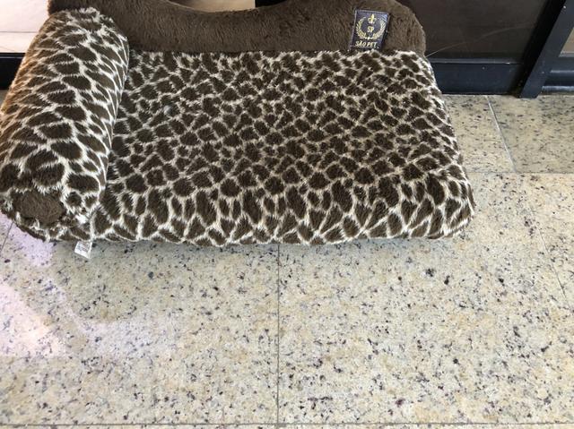 Divã caminha para pet