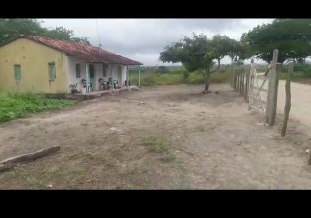 Chácara - Foto 2