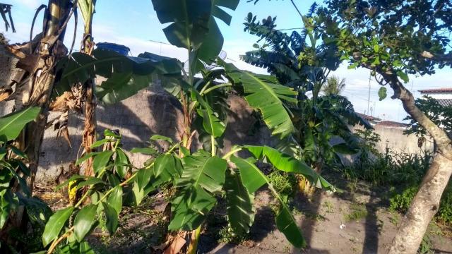Vende-se terreno, próximo a antiga pina safra - Foto 4
