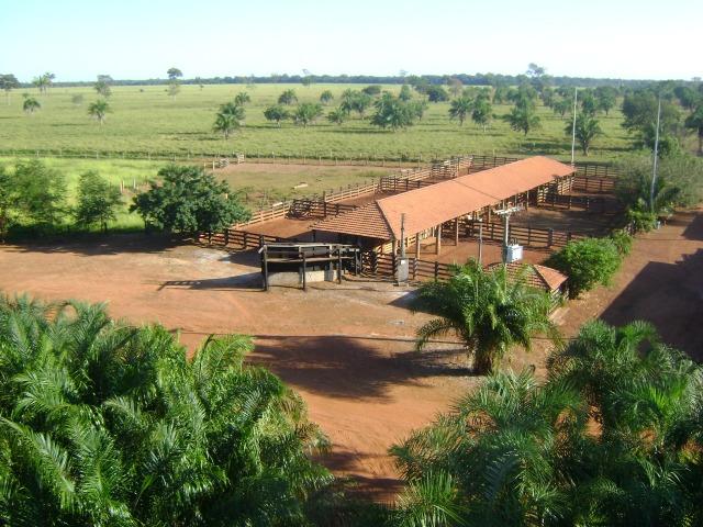 Fazenda - Barra do Garça MT - Foto 16