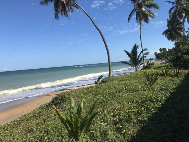 VENDE-SE TERENO EM BARRA GRANDE-Ilha de Itaparica - Foto 4