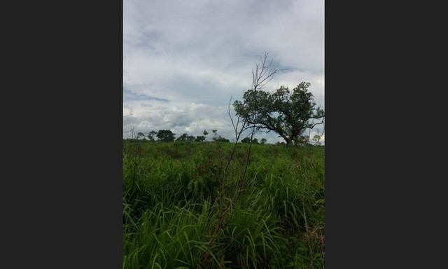 207 alqs Tem logística água e terra conceição TO - Foto 2