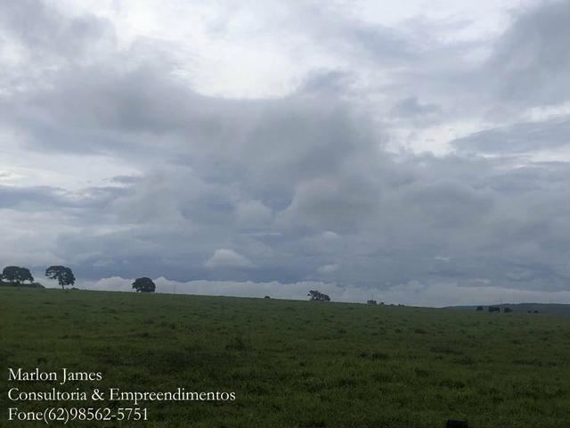 Fazenda em Vila Propício-Go! - Foto 5
