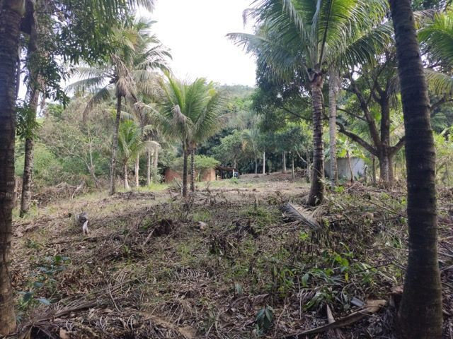 Terreno em São João do Jaboti - Espírito Santo - Foto 3