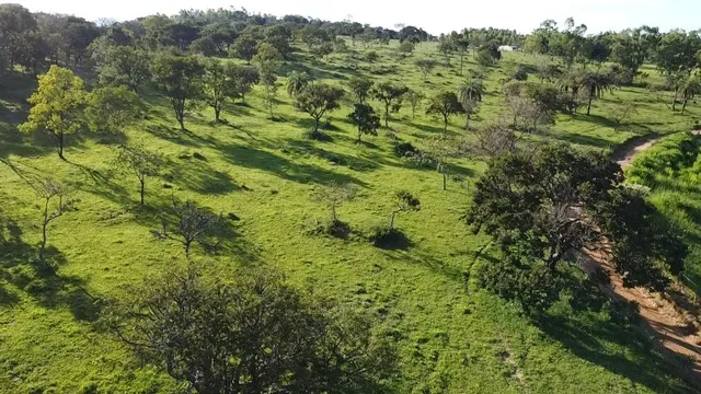 Terrenos, sítios e fazendas - Pará