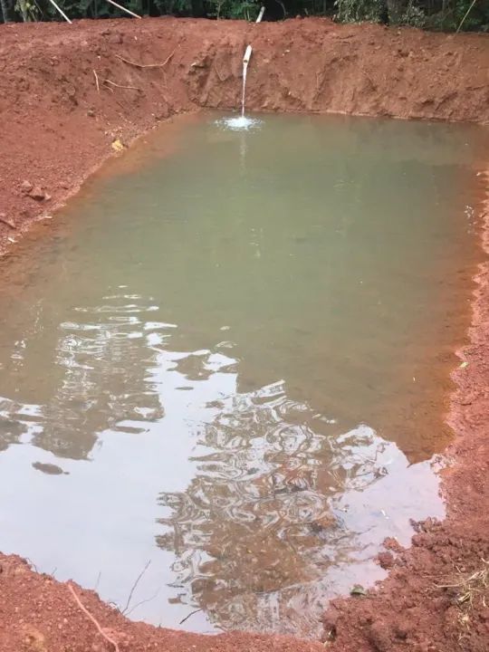 SÍTIO COM HARAS E GRANDE ESTRUTURA PARA LAZER - Foto 4