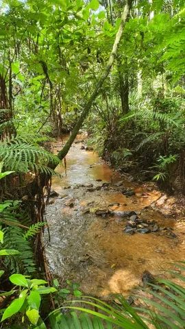 Ent.10+10% + 36 X fixas - Terreno Industrial 34600m² + Galpão 1000m² + Casa campo 200m² - Foto 10