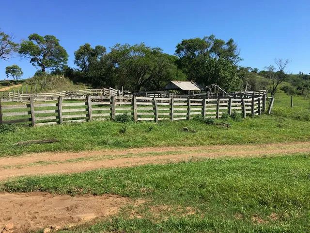 Fazenda de opurtunidade  55 mil o alqueiro - Foto 4