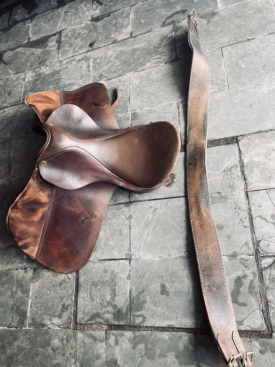 Sela para Cavalos  - Foto 5