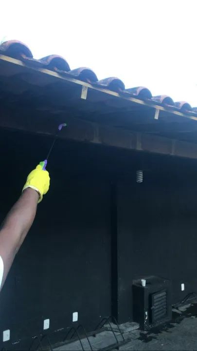 Dedetização  - Foto 3