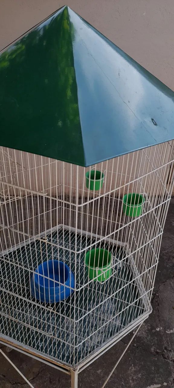 Viveiro pássaros  - Foto 3