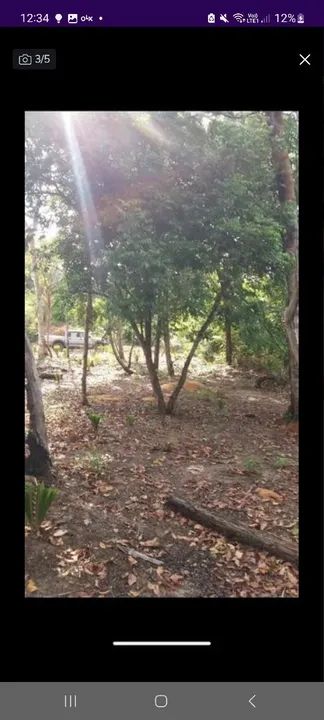 Terreno no Caribe brasileiro Alter-do-Chão - Foto 2