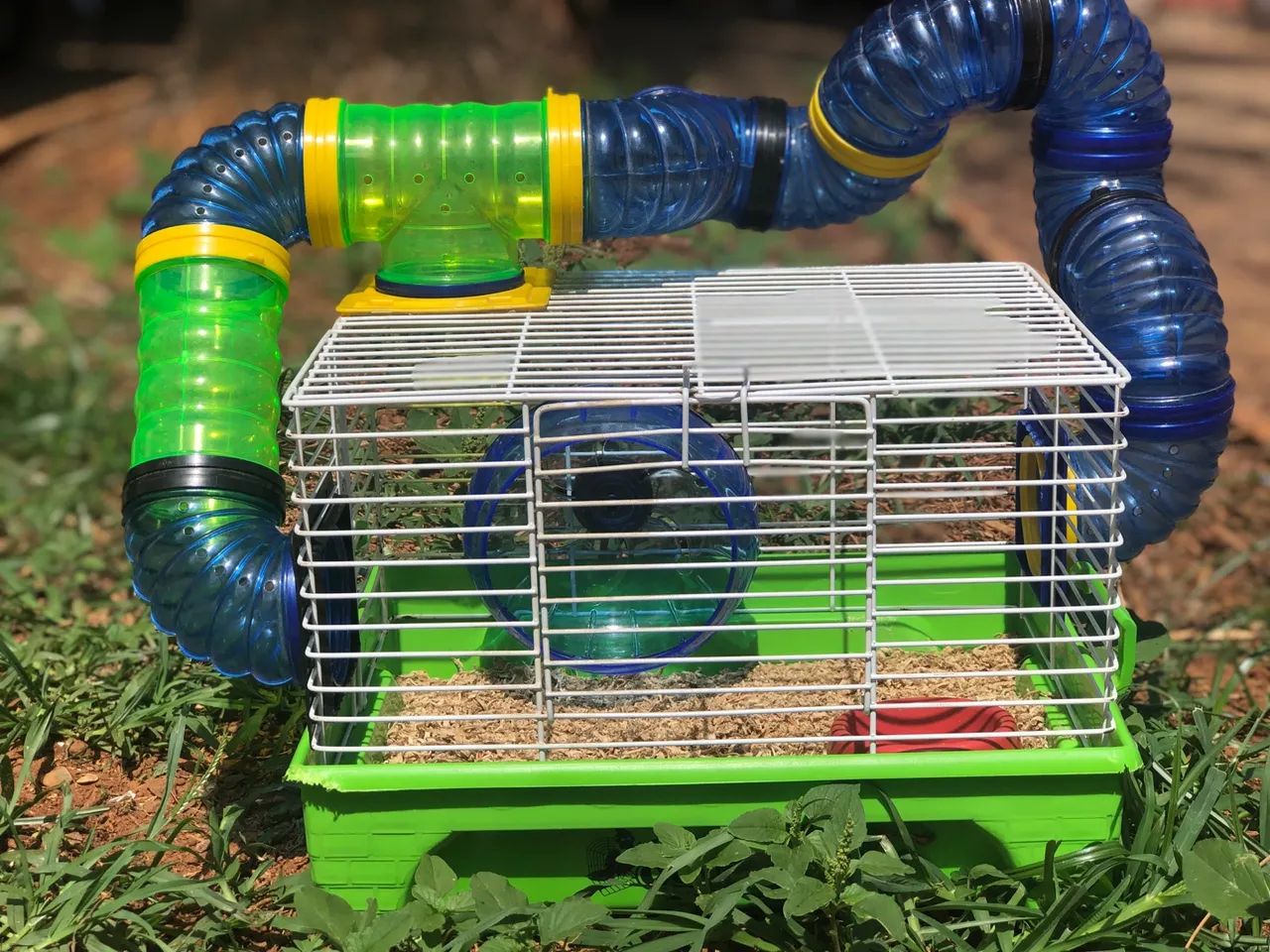 Gaiola para Hamster com Túnel - Foto 2