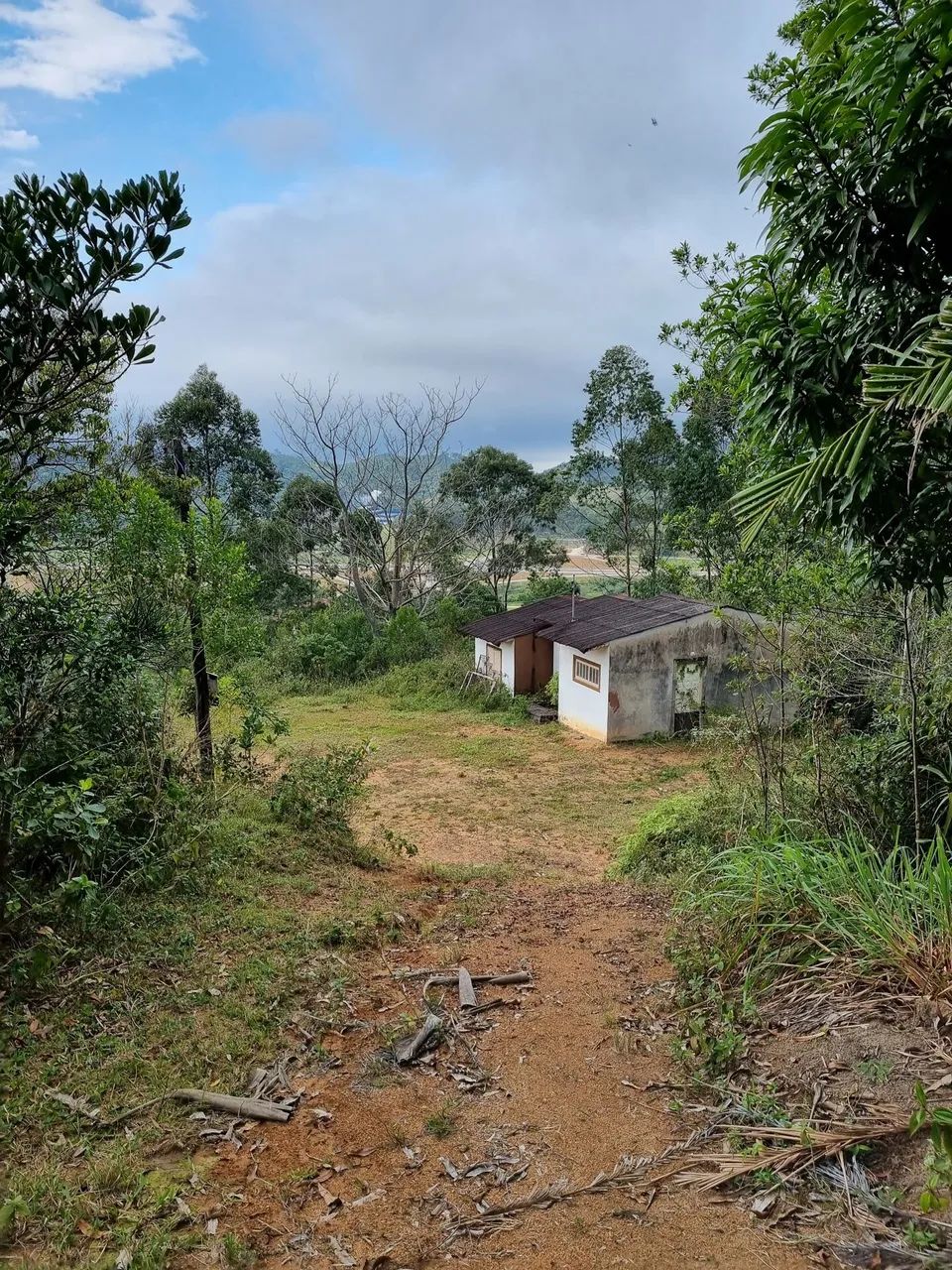 Sítio com 11 hectares I Estiva I Biguaçu - Foto 3