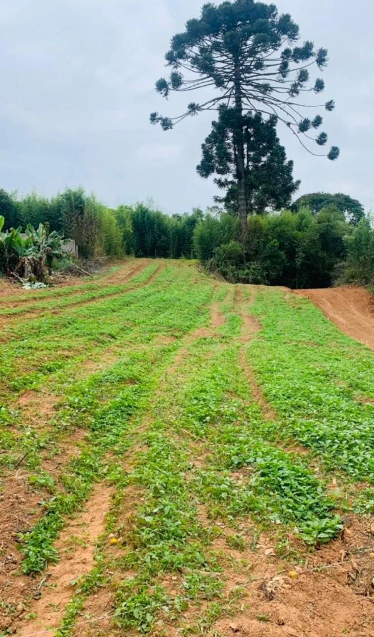 Primeira imagem do imóvel