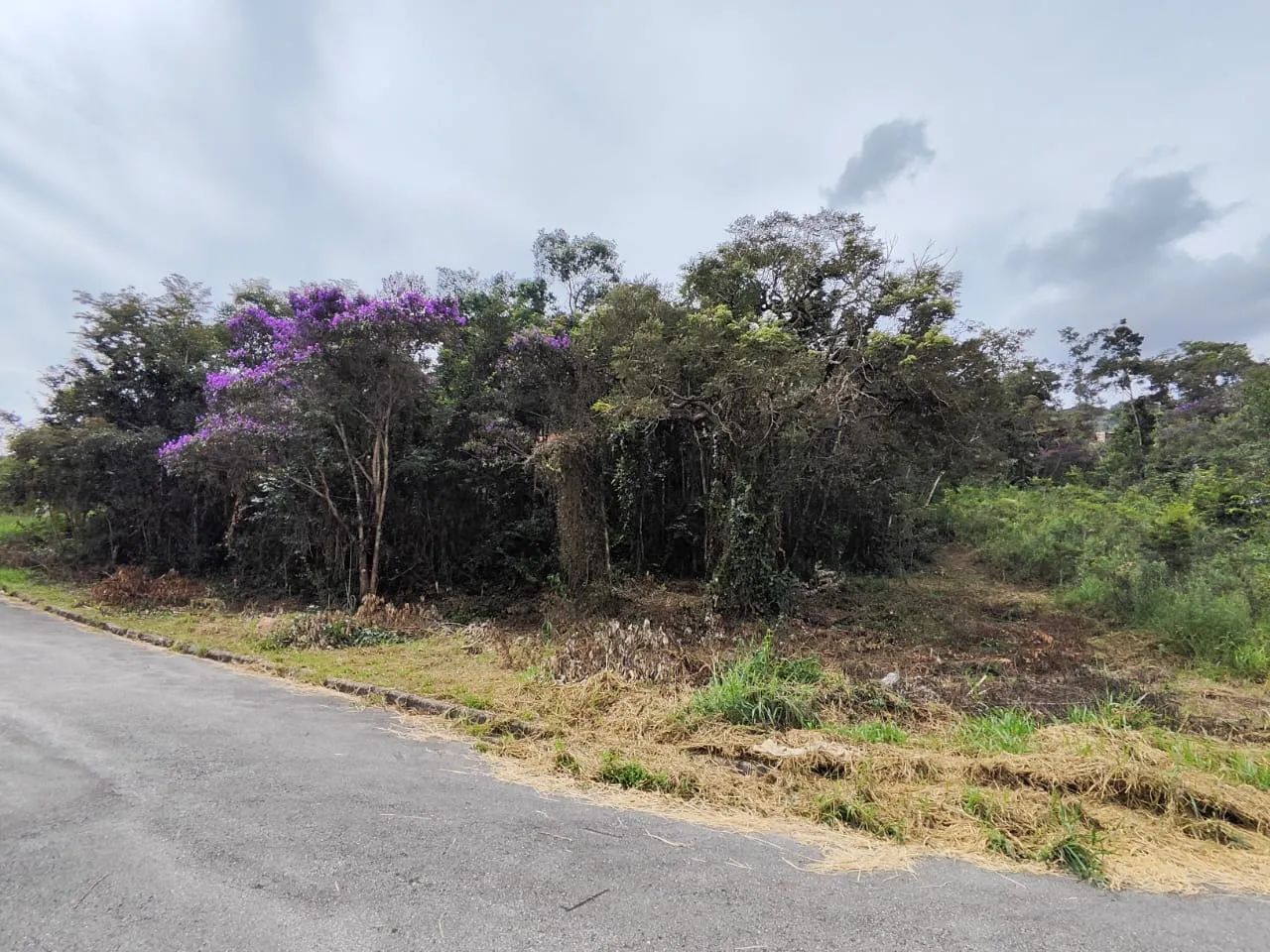 Lote em condomínio fechado  - Foto 11